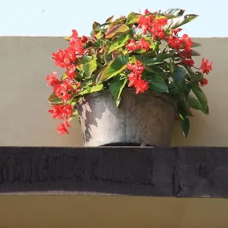 Foryou Casa Storica Nel Parco Cinque Terre *