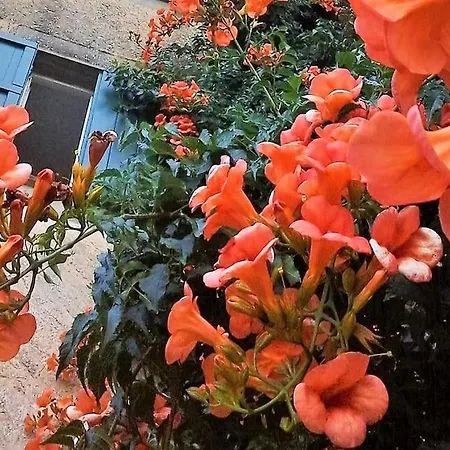 Foryou Casa Storica Nel Parco Cinque Terre